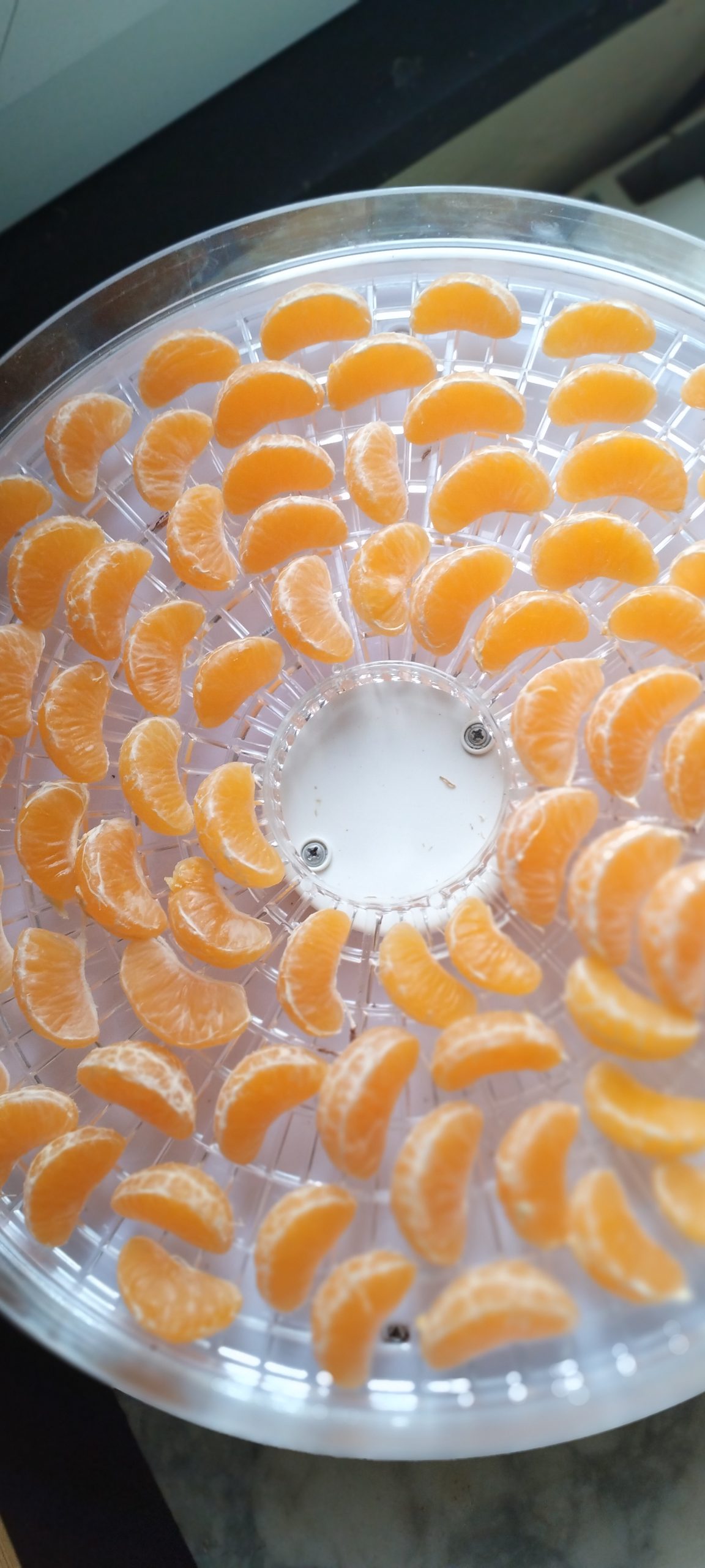 Clementine essicate
