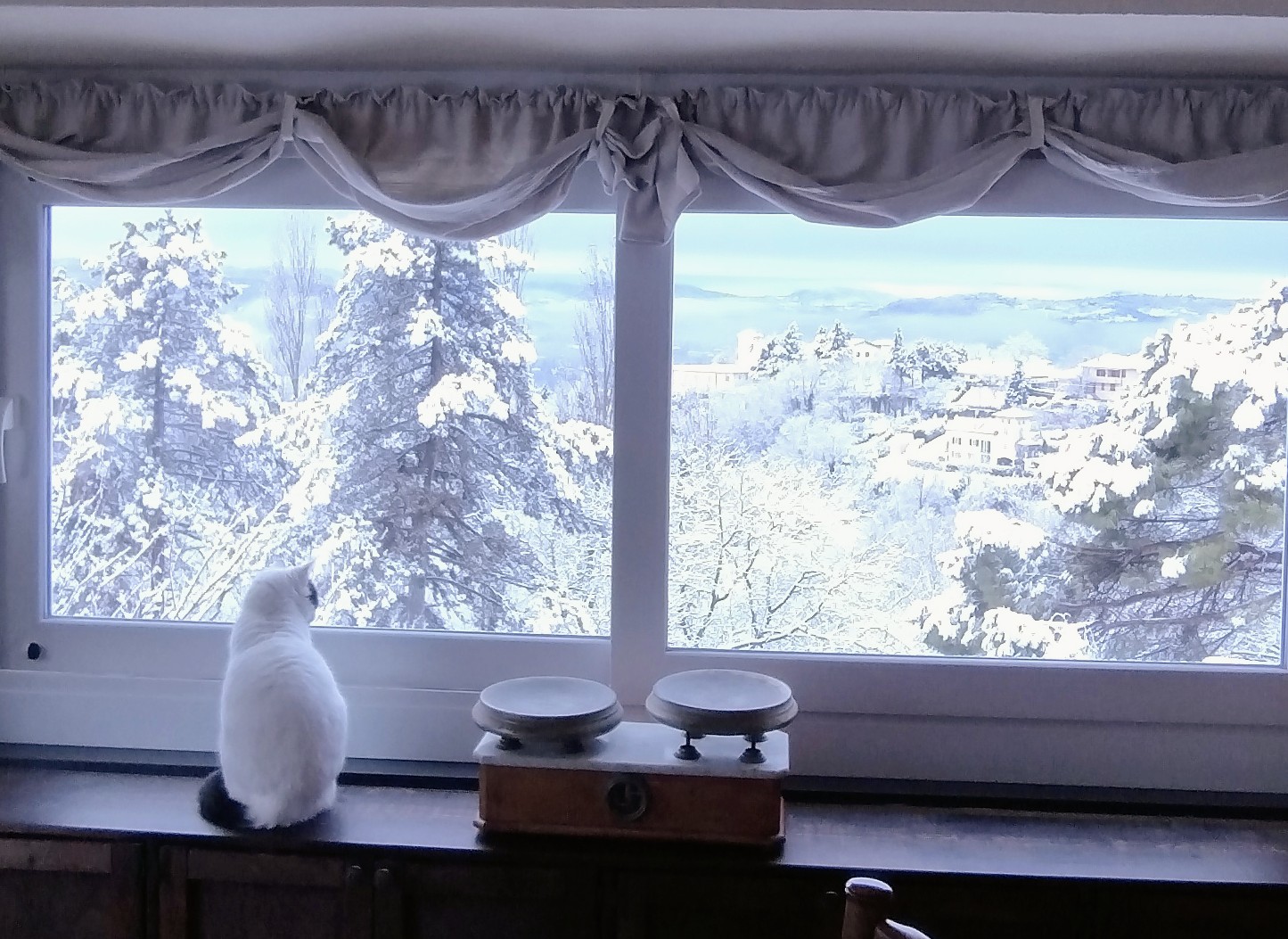 Let It snow! Let It snow! Let It snow! 😍